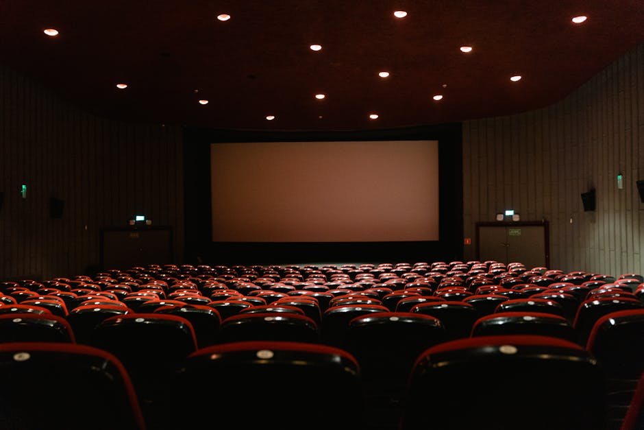 Premium entertainment experience